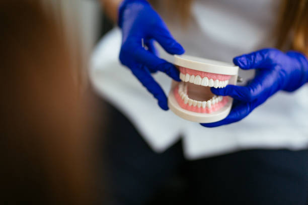 Professional Dental Services in Oak Hill, WV